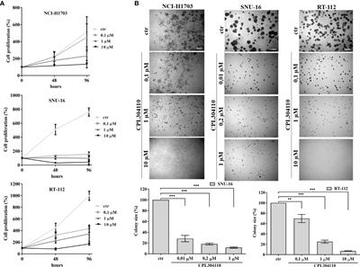 MET-Pyk2 Axis Mediates Acquired Resistance to FGFR Inhibition in Cancer Cells